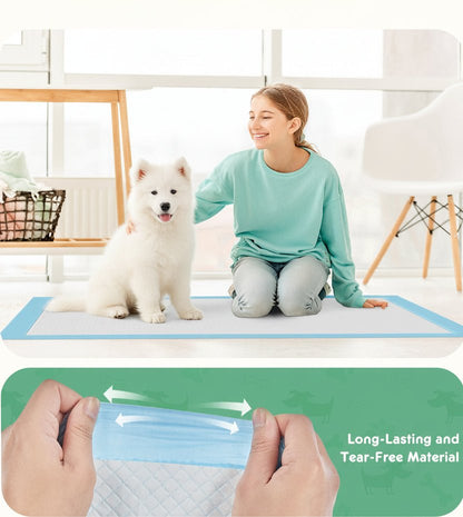 Fetch Puppy Pads