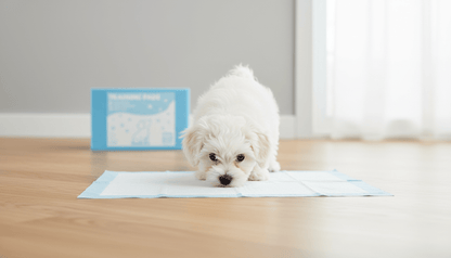 Fetch Puppy Pads