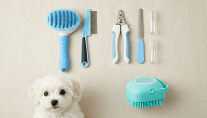 Fetch Grooming Kit
