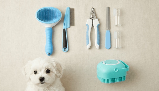 Fetch Grooming Kit